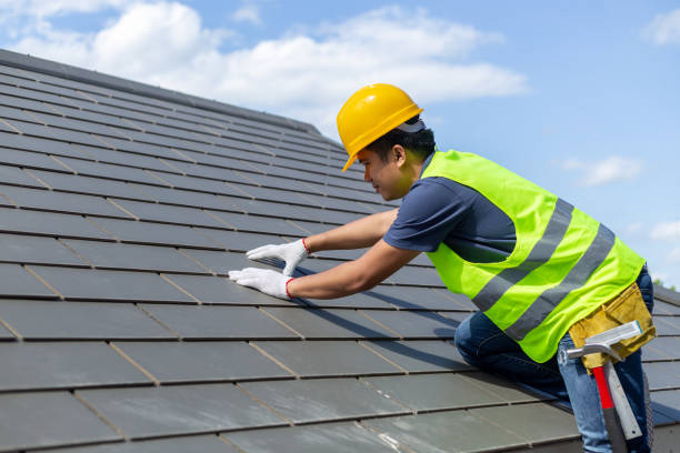 Best Solar Panel Roofing Installation  in Siesta Acres, TX