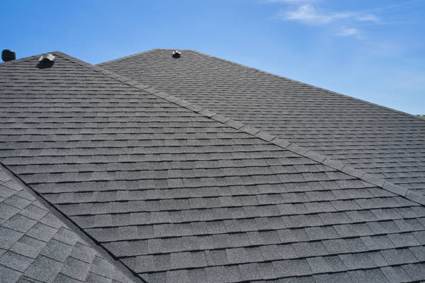Best Roof Moss and Algae Removal  in Siesta Acres, TX