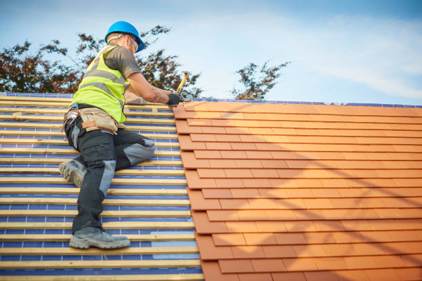 Best Chimney Flashing Repair  in Siesta Acres, TX